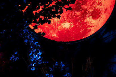 Cubic Escape Room Sydney