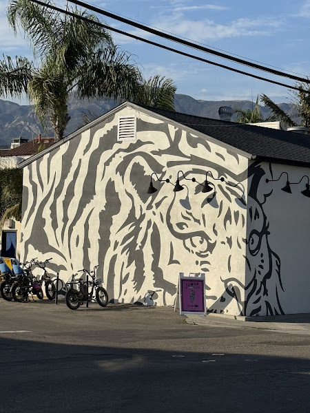 Photo of The Funk Zone