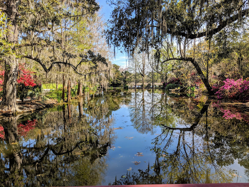Photo of Magnolia Plantation and Gardens