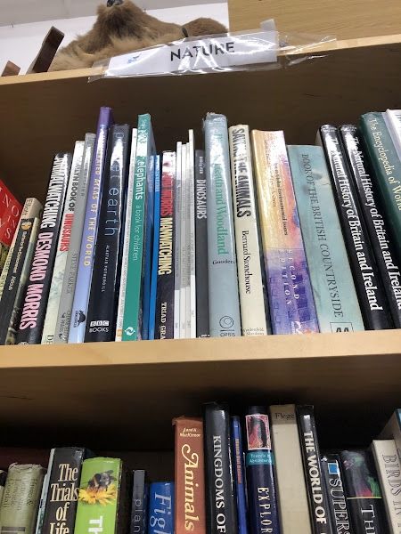 Photo of The Magpie's Eye