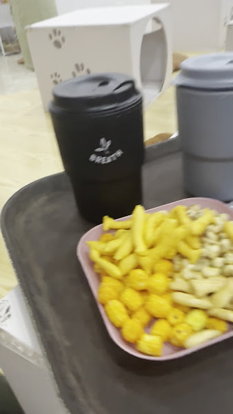 Photo of Jennymiaw Cat Cafe