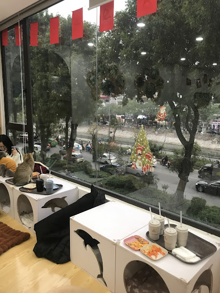 Photo of Jennymiaw Cat Cafe